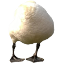 :german_bird: