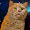 :spacecat0: